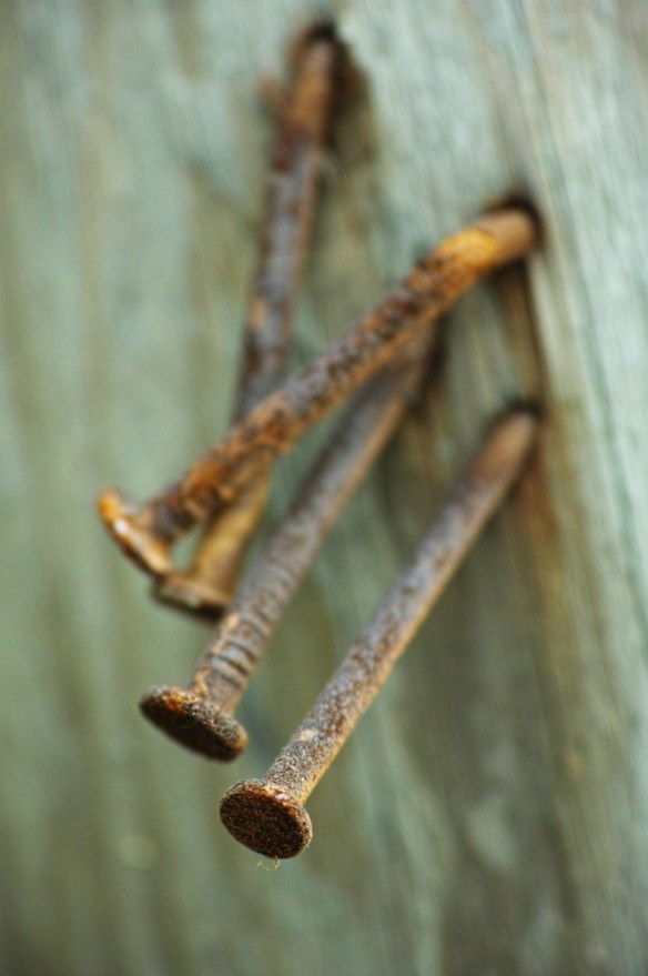 Nails in wood