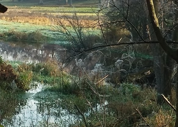 1103160923 - Version 2