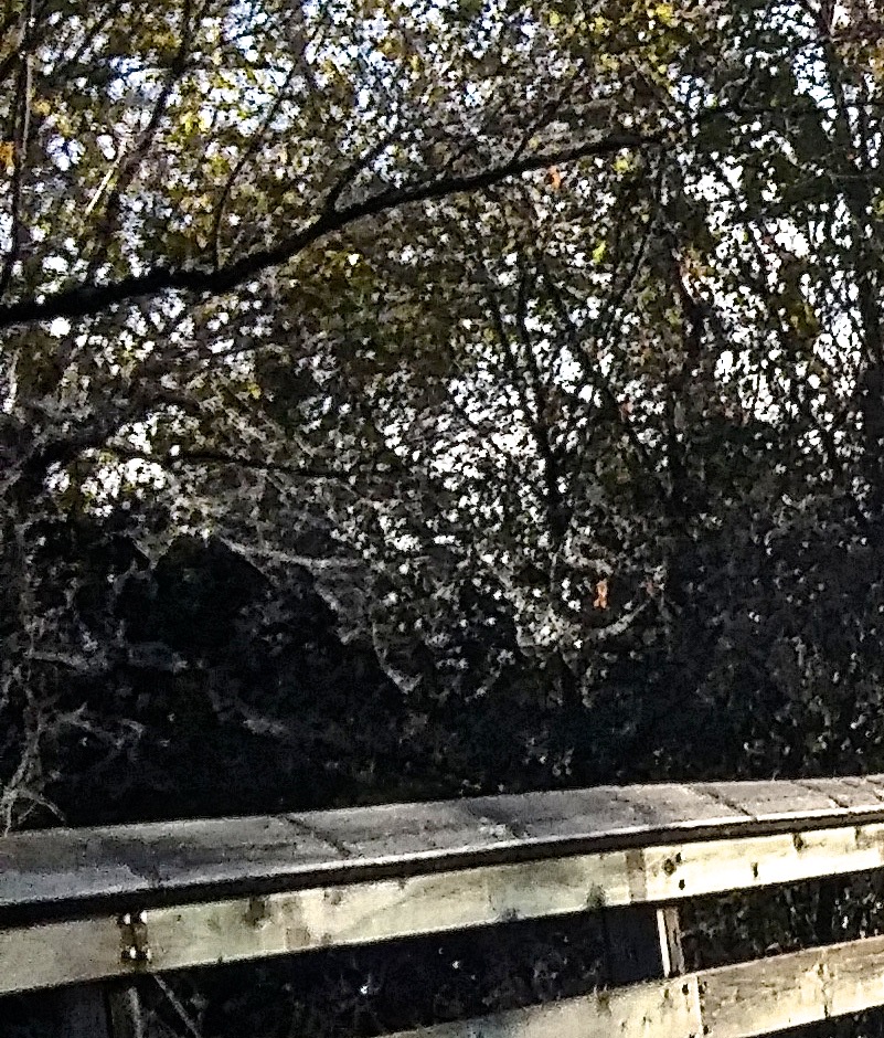 1103160924 - Version 4